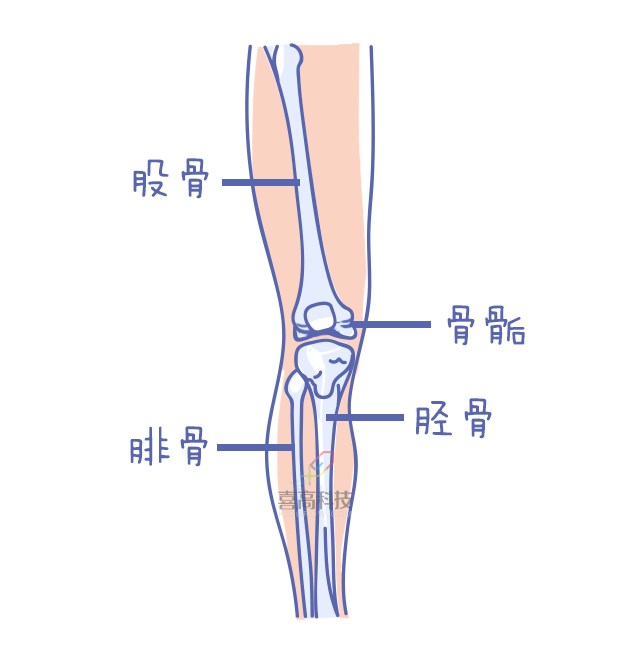 重啟骨骺線~你看起來很誘人！_10.png