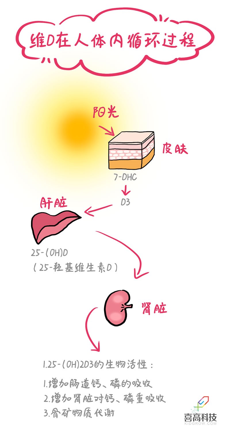 未標題-1_04.jpg