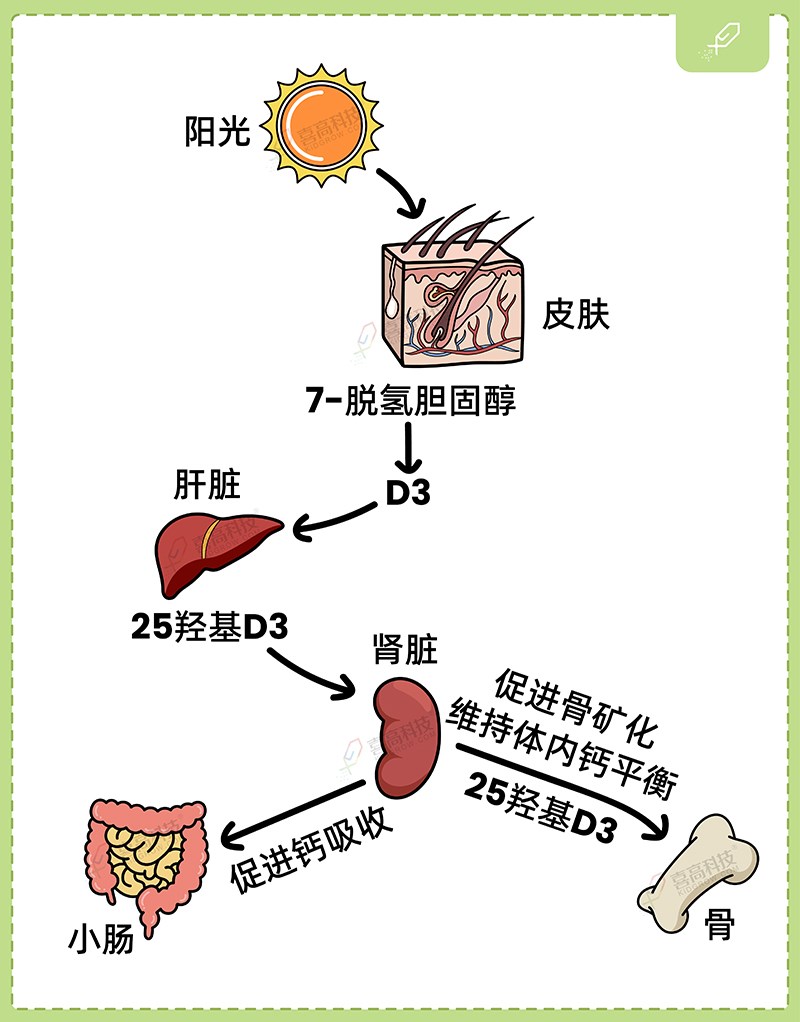 1_畫板 1 副本 2.jpg