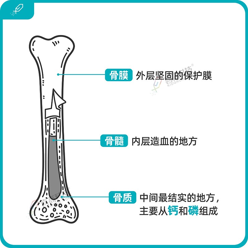 1_畫(huà)板 1 副本.jpg